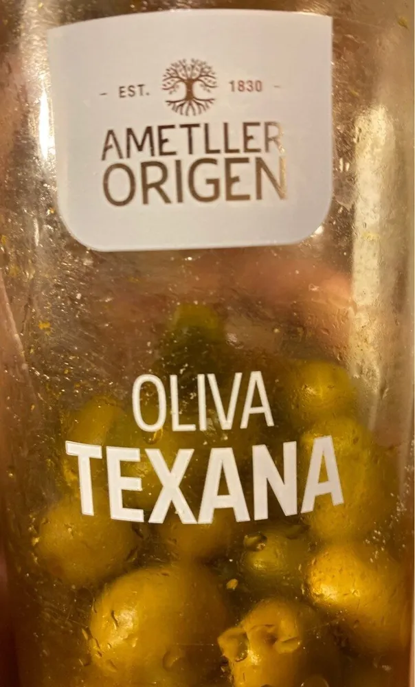 Oliva texana