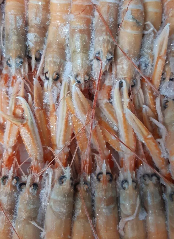 Cigala entera cruda