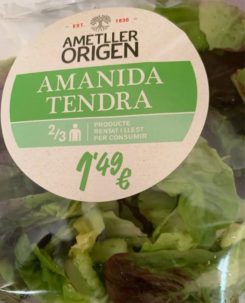 Amanida tendra
