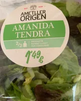 Amanida tendra