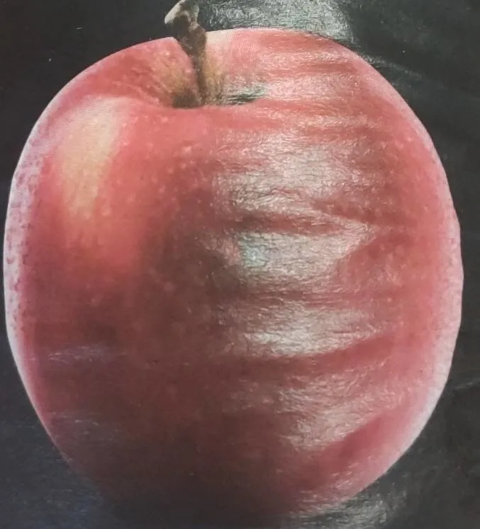 Agromart