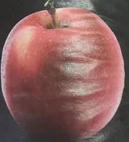 Agromart