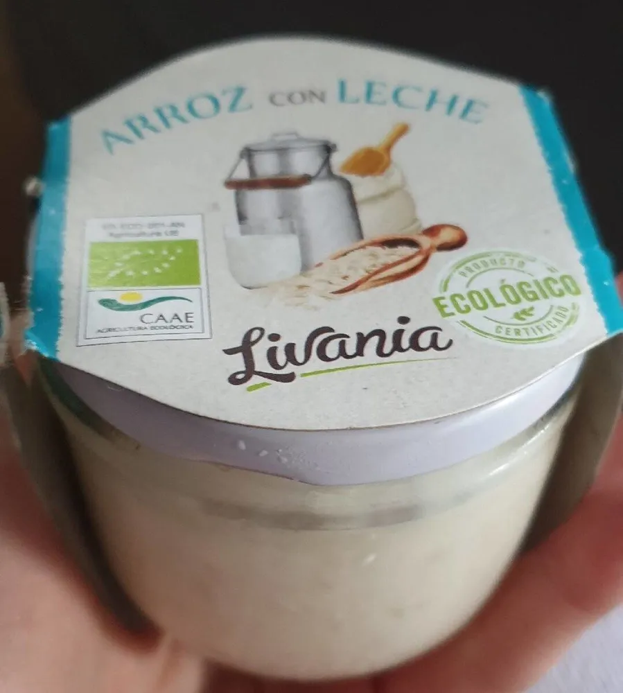 Arroz con leche