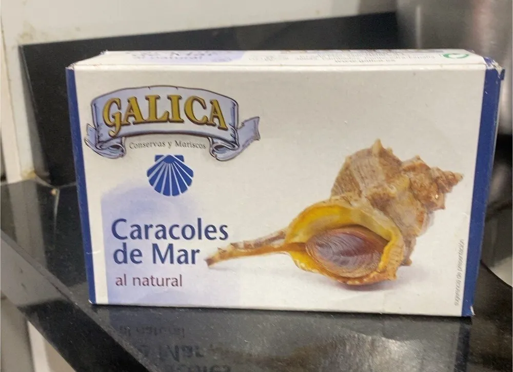 Caracoles de mar al natural
