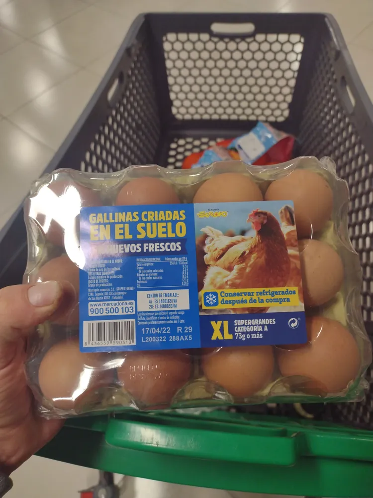 Huevos gallina