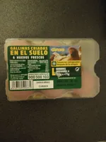 Huevos