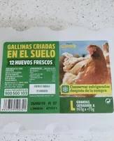 Huevos gallinas sueltas en gallinero