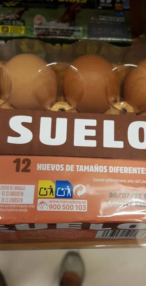 12huevosuelo