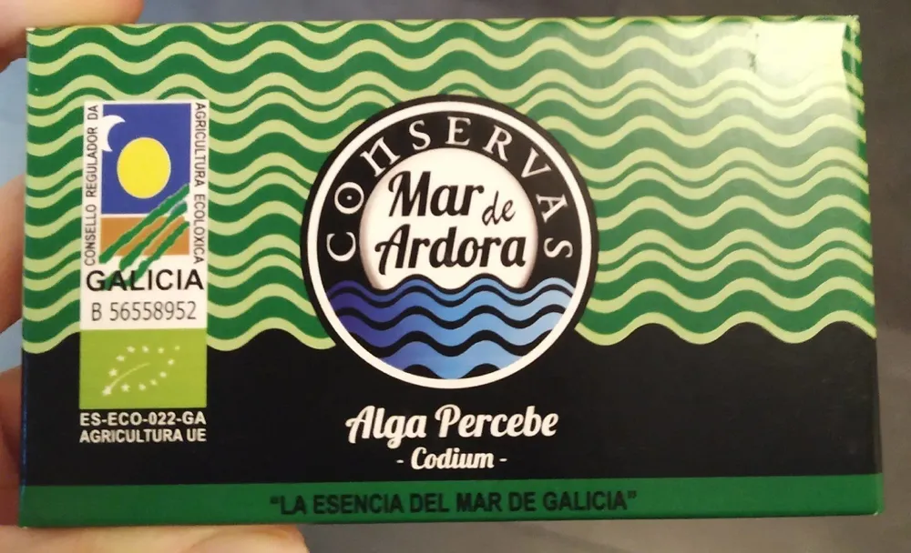 Alga Percebe