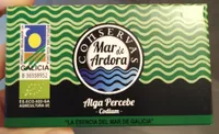 Alga Percebe