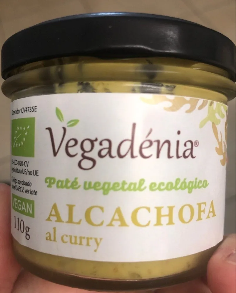 Pate ecológico de alcachofa al curry