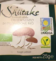 Shiitake