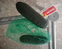 Pepino