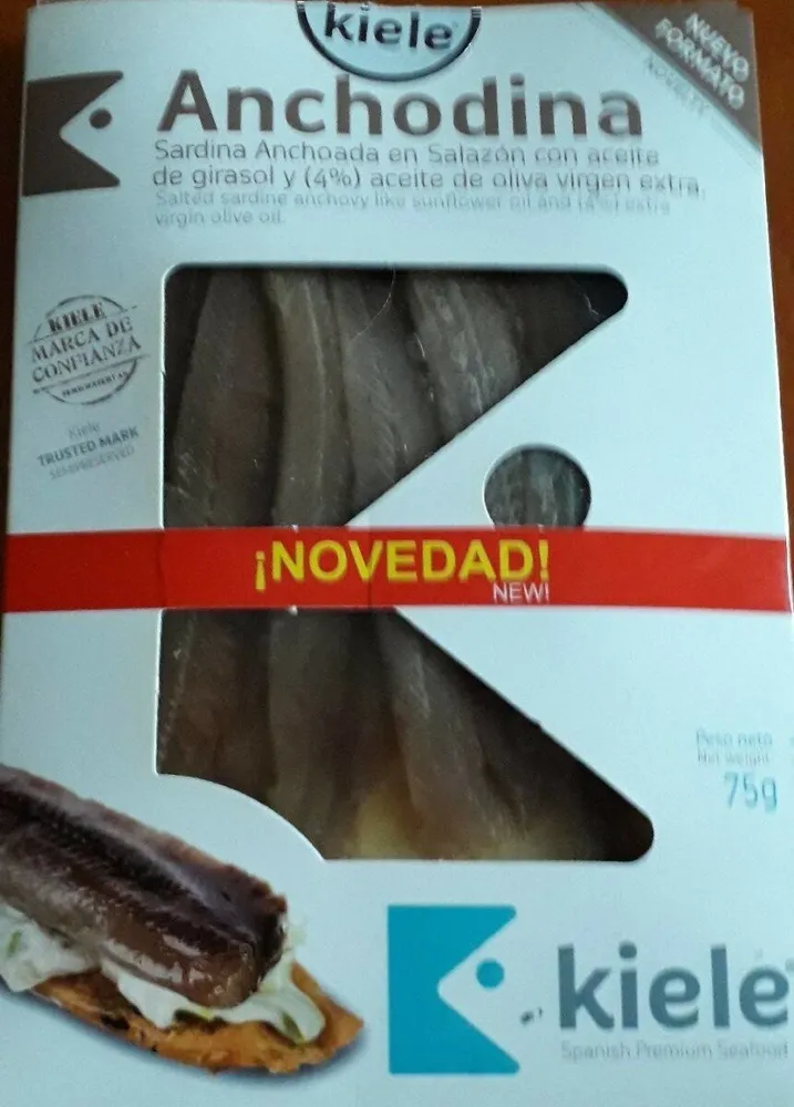 Anchodina