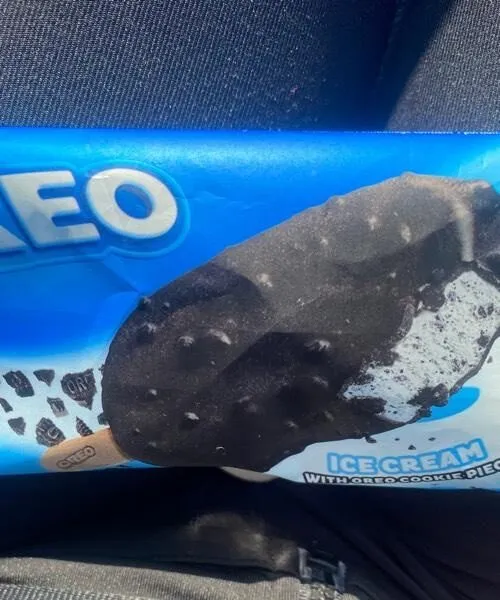 Ice Cream with Chocolate Cookie Pieces