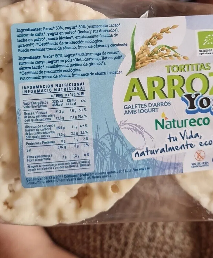 Tortitas arroz con yogur