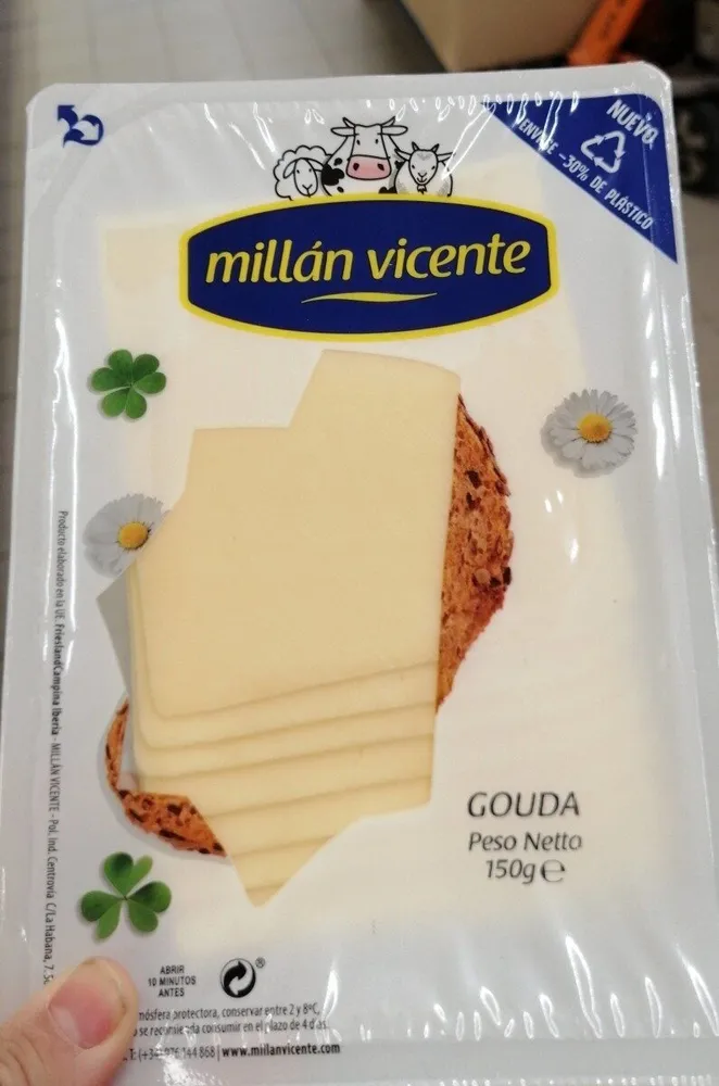 Gouda