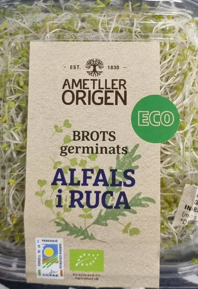 Brotes germinados alfalfa y ruca