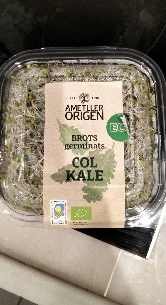 Brots germinats col kale