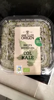 Brots germinats col kale