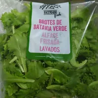 BROTES DE BATAVIA VERDE