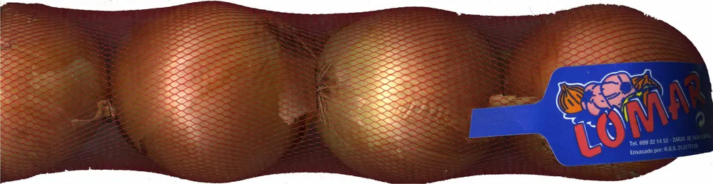 Cebolla