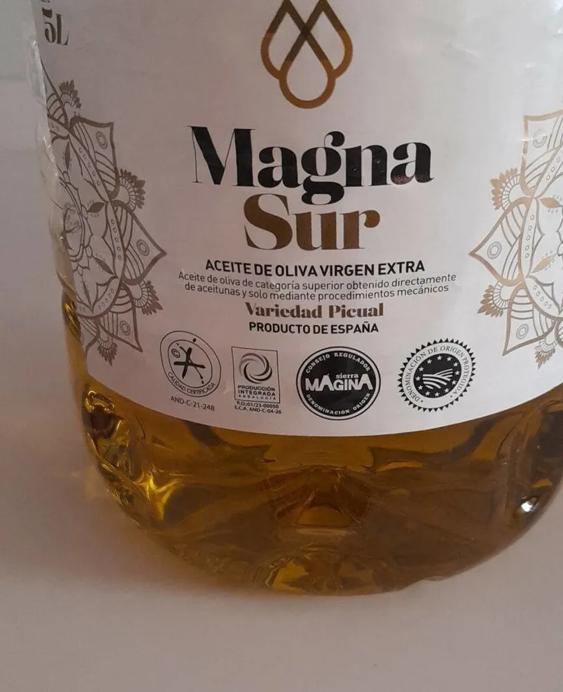 Magna sur