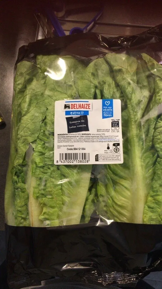 Laitue romaine