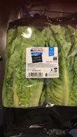 Laitue romaine