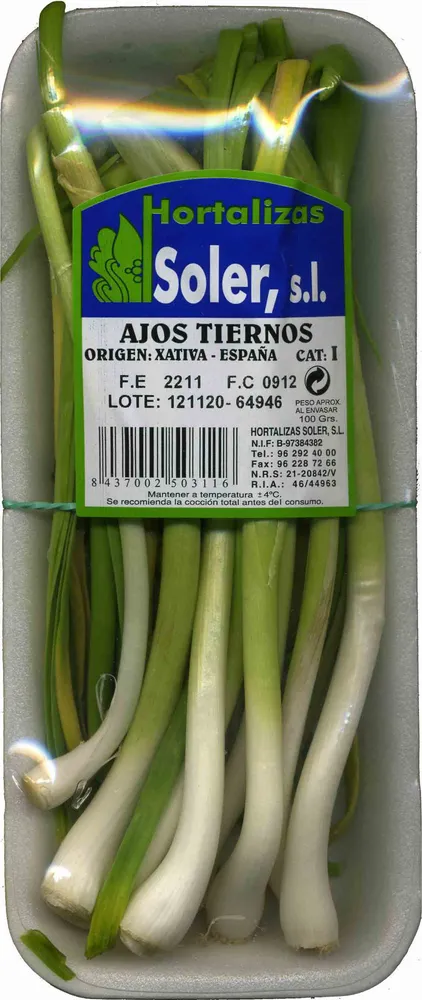 Ajos tiernos