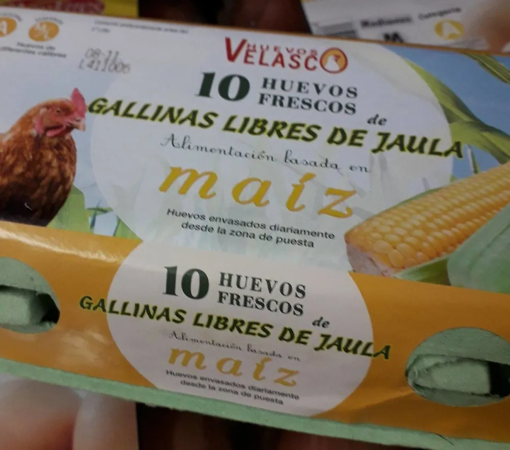 Huevos frescos de gallinas libres de jaula
