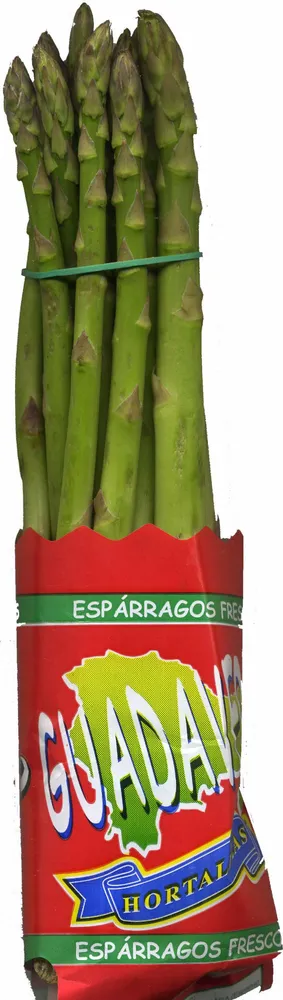 Espárragos verdes