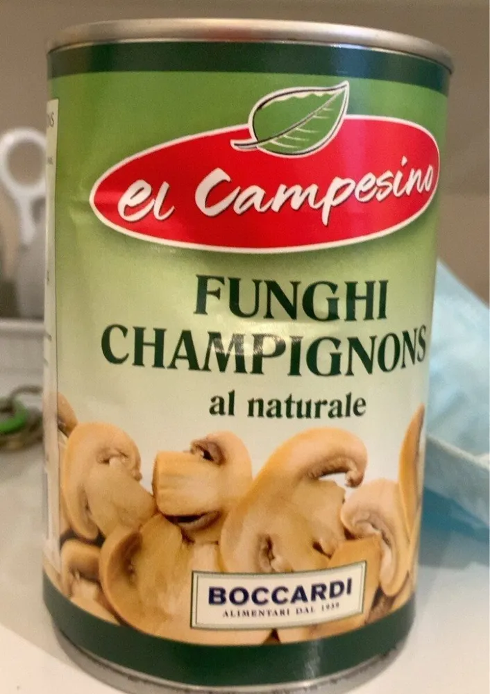 Funghi champignons