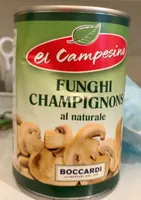 Funghi champignons