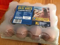 Huevos