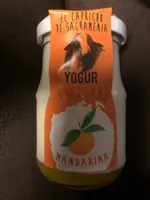 Yogur artesano mandarina