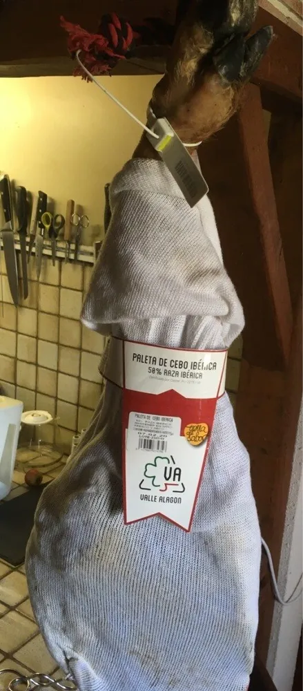 Paleta de cebo iberica