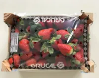 Fresas