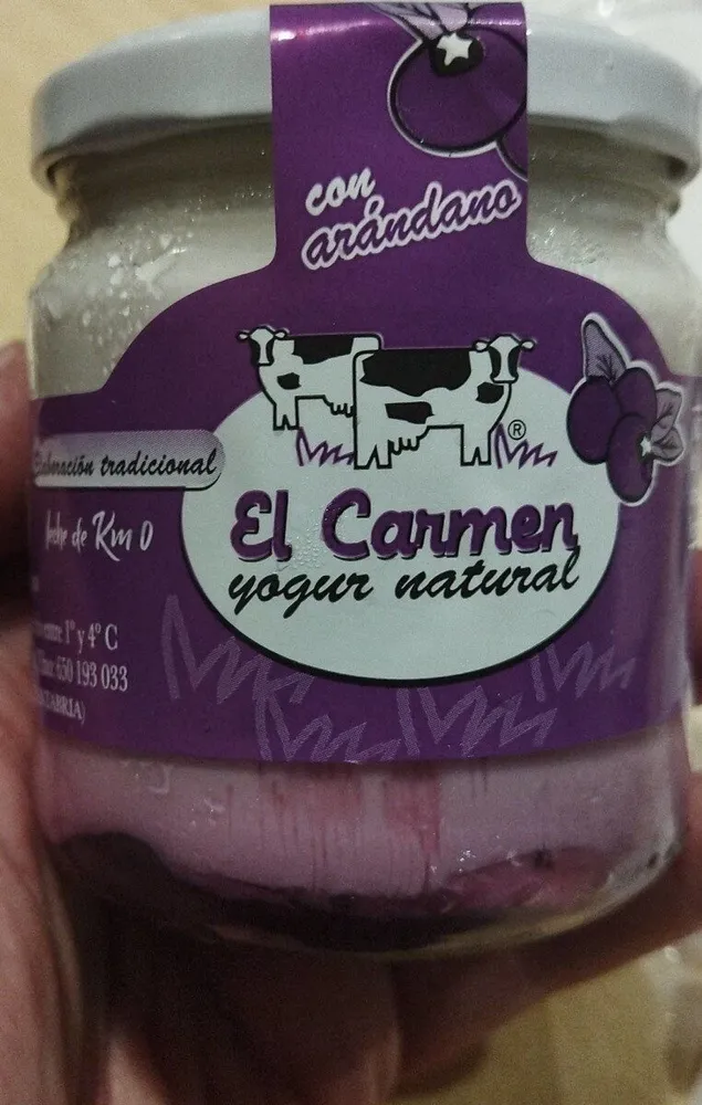 Yogur natural con arándanos