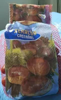 Castaña común