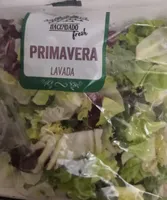 Ensalada primavera