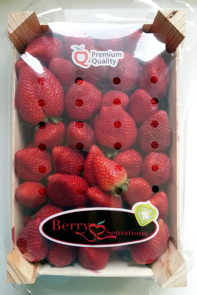 Fraises