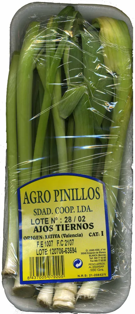 Ajos tiernos