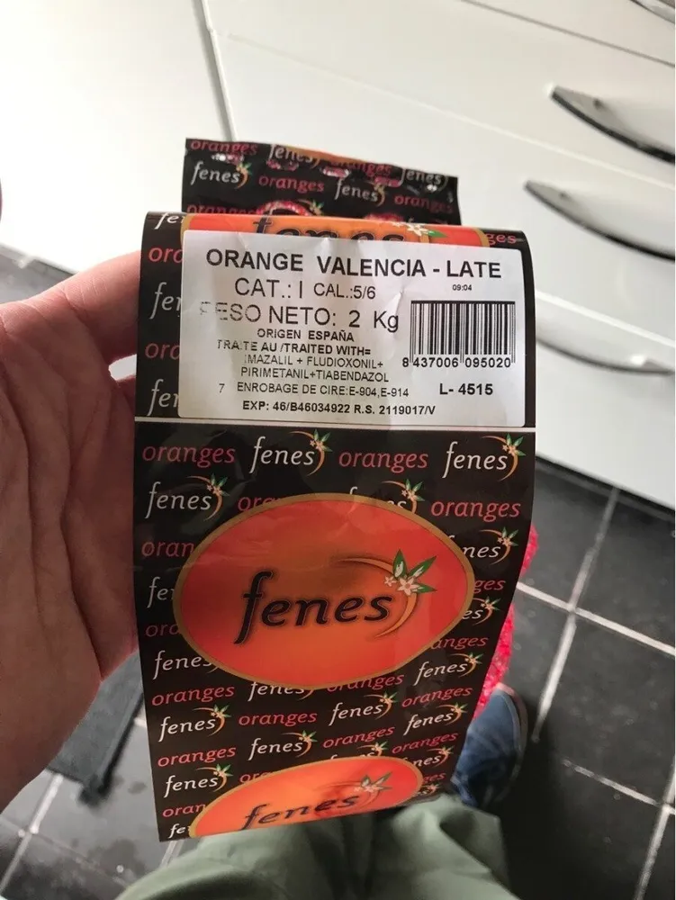 Orange Valencia