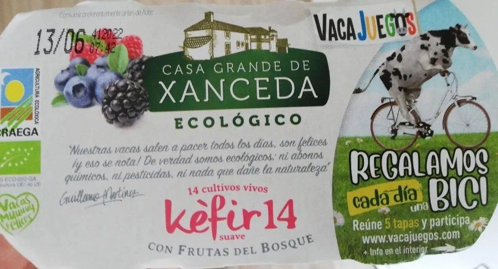 Yogurt ecológico Kefir 14 con frutas del bosque
