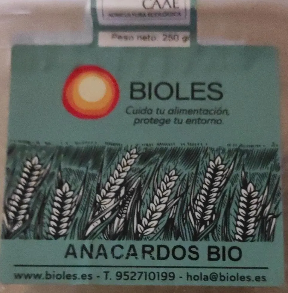 Anacardos bio