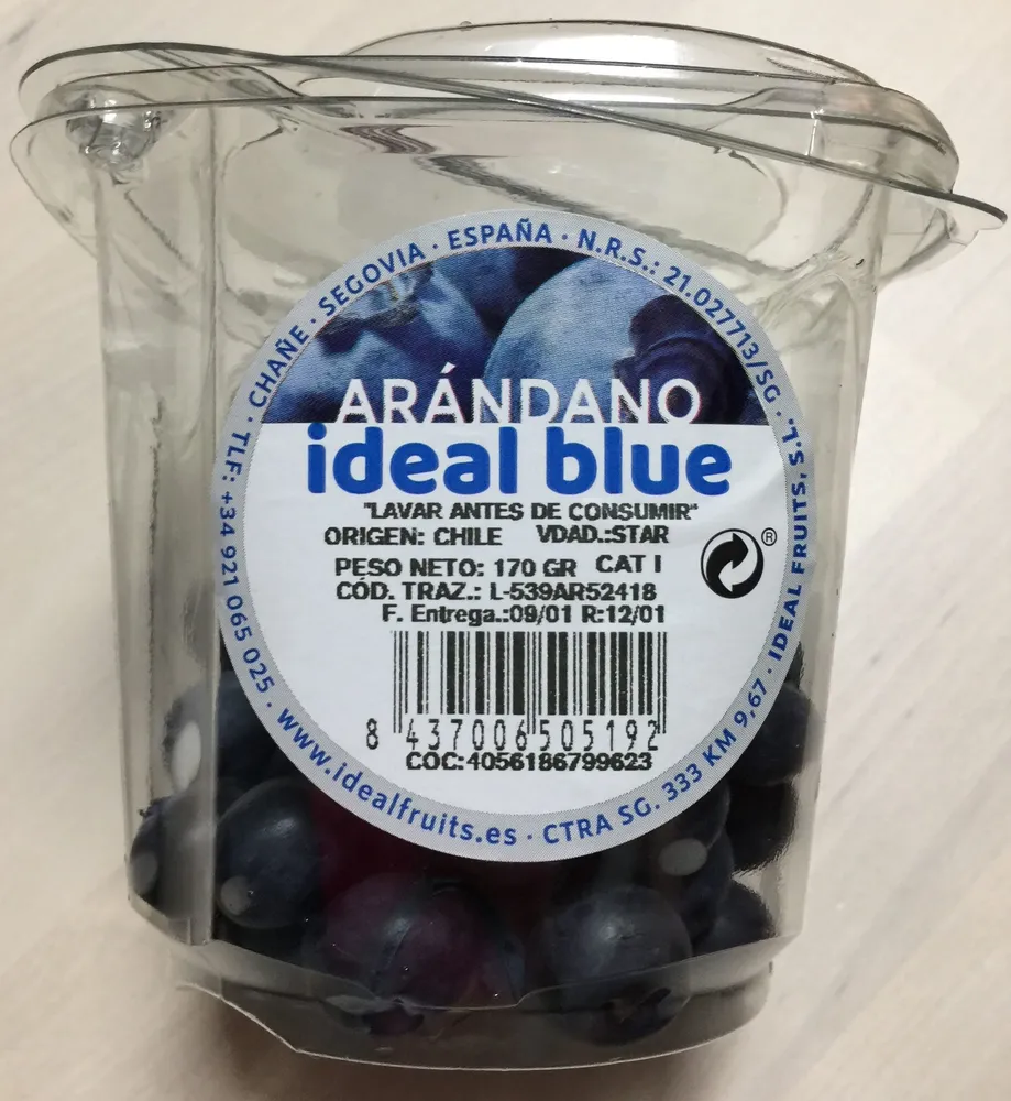 Arándanos
