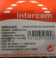 Arándanos