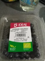 Arándano ecológico