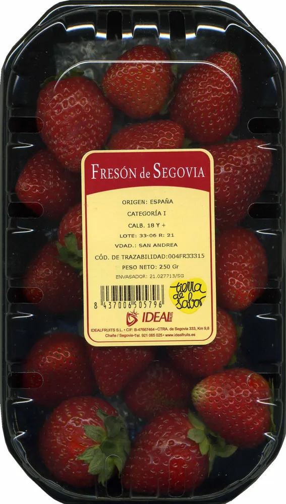 Fresón de Segovia